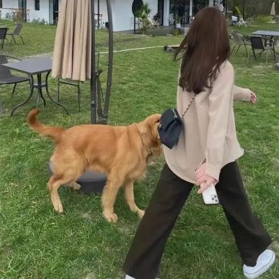 宅男的恋爱字典